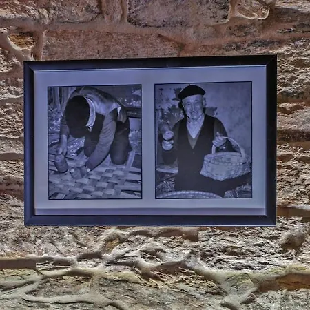 Villa Casa Do Cesteiro *