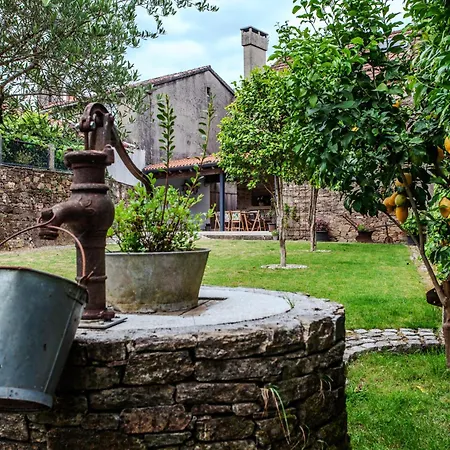 Βίλα Casa Do Cesteiro