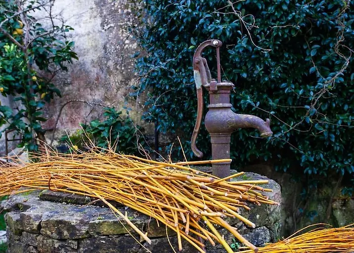 Casa Do Cesteiro サンティアゴ・デ・コンポステーラ